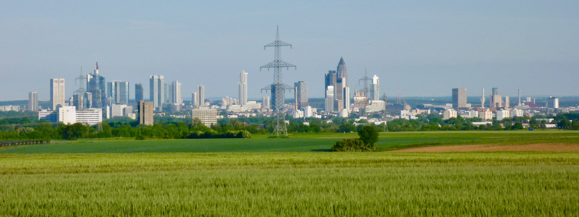 Immobilienexperten in Frankfurt