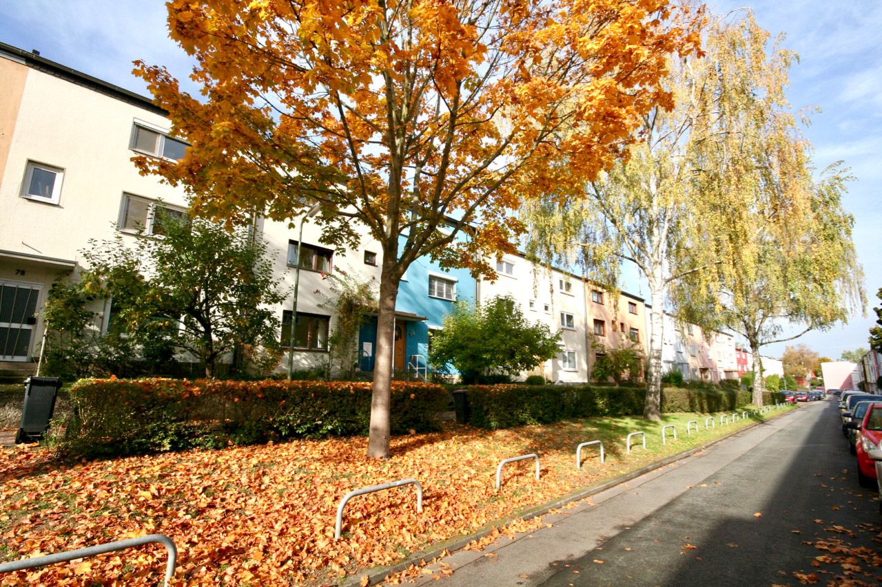 Metz Immobilien - Makler für Immobilien in Frankfurt
